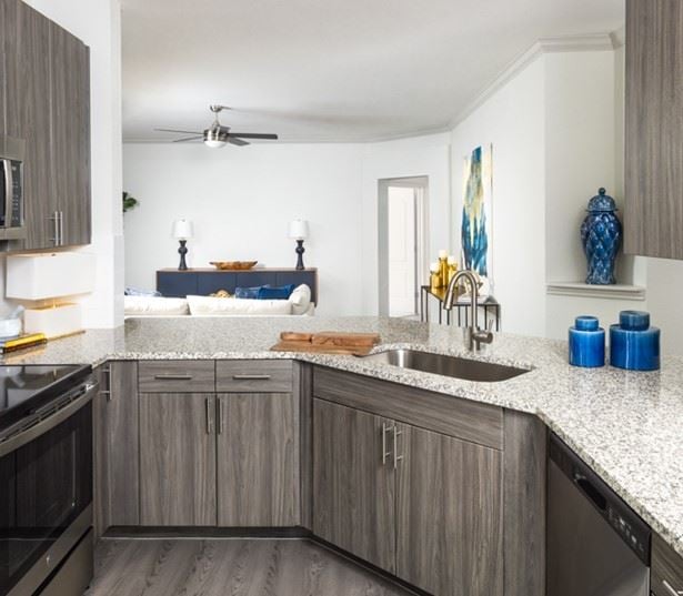 South Austin Apartments - Ridgeview Apartments - Kitchen