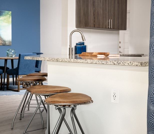 Ridgeview Apartments for Rent in South Austin - Breakfast bar