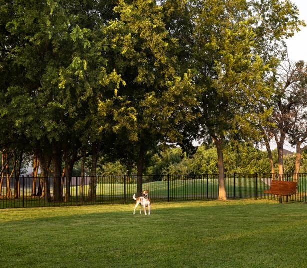 Settlers Ridge - Austin Apartments for Rent - Dog Park