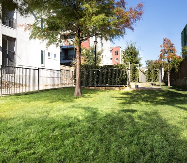 Strata Apartments - Pet-friendly community with on-site dog park - Apartments in Fitzhugh