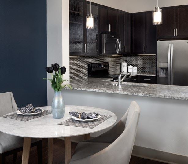 Strata Apartments - Gourmet kitchens - Lower Greenville Apartments for rent