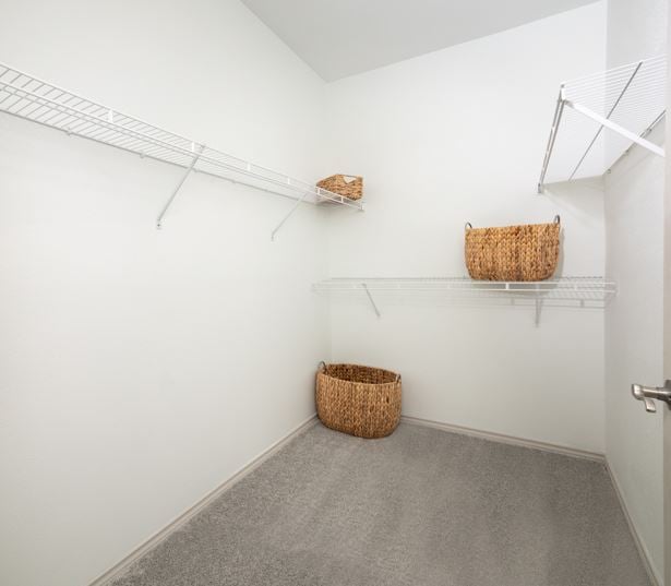 Austin Apartments at Tech Ridge - Settlers Ridge - walk-in closet