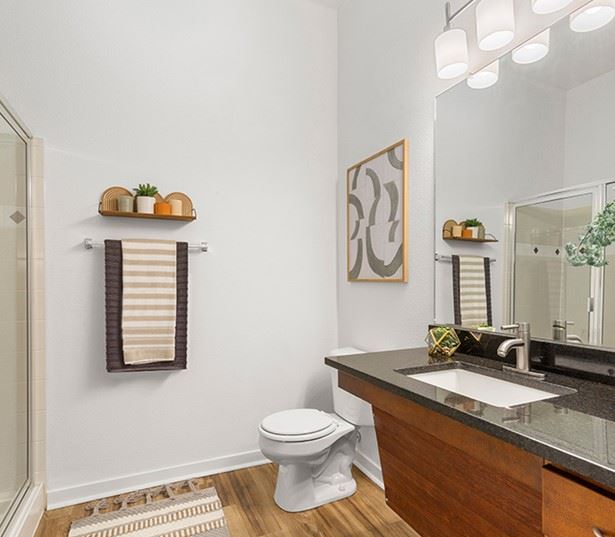 Townhomes in Aurora, CO - The Sanctuary at Tallyns Reach - Bathroom