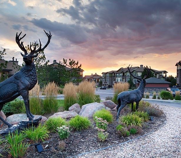 Cherry Creek School District apartments - The Sanctuary At Tallyn's Reach - exterior