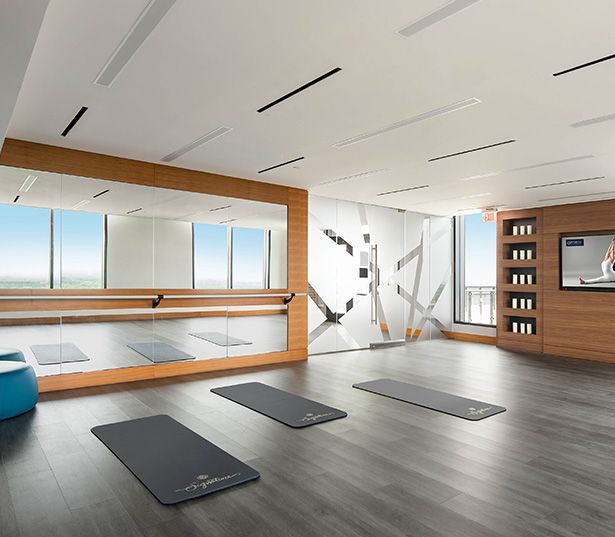 Signature at Reston Town Center Apartments - Reston, VA - yoga studio