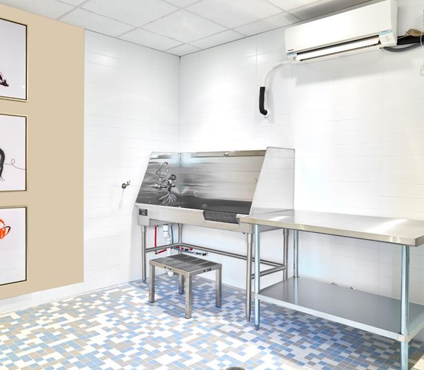 Midtown apartments for rent in Nashville - SkyHouse Nashville dog wash