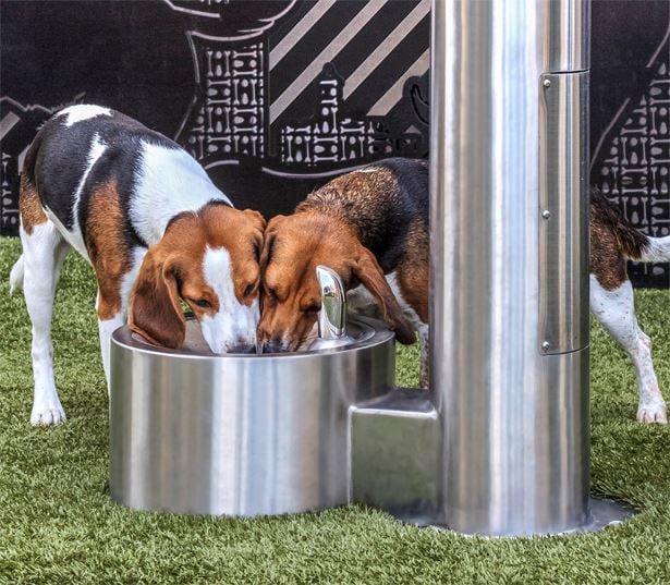 apartments in nashville tn - SkyHouse Nashville pet-friendly