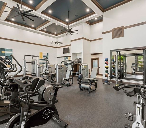 StoneLedge Apartments - Technogym cardio machines - Coppell, TX Apartments