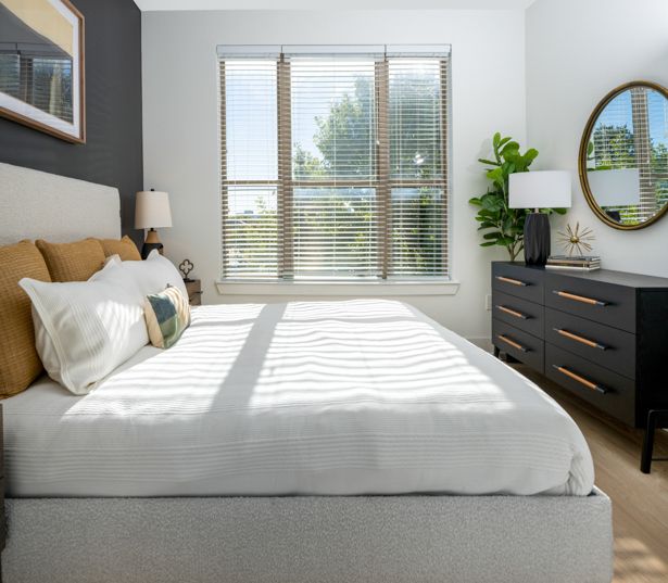 Renovated Apartments in Dallas, TX - Strata - natural sunlight