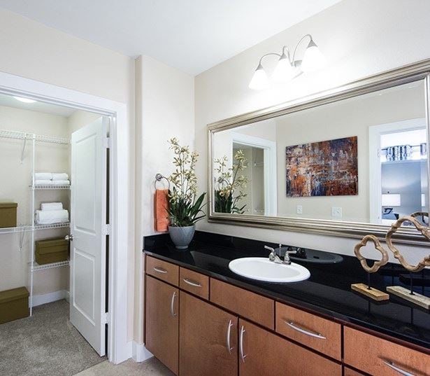 Lofts near Denver Health - The Boulevard Apartments Bathrooms with granite countertops