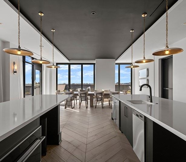 The Camille - Brand new apartments in Bethesda, MA - entertainment kitchen