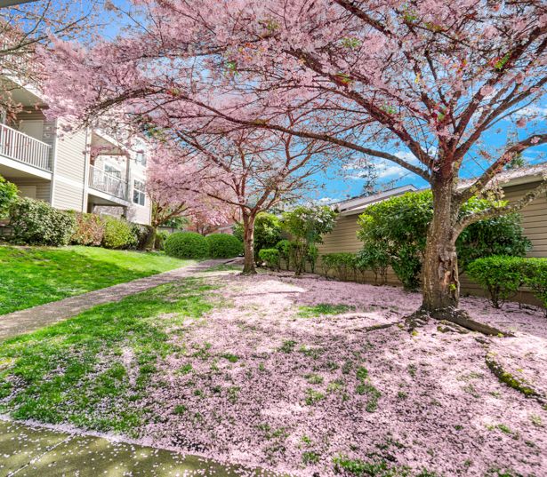 Apartments in Issaquah WA near Siemens - The Timbers at Issaquah Ridge Exterior