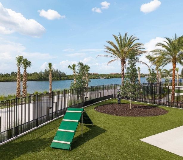 1 Bedroom Apartments in Tampa, FL - The Residence Peninsula - Pet Friendly