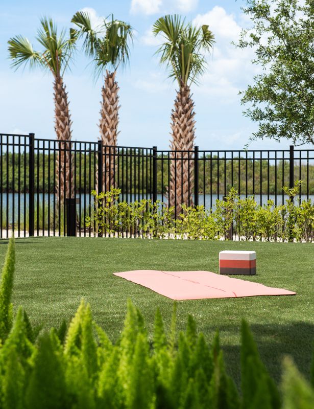 Brand new apartments in South Tampa, FL - The Residence Peninsula - Yoga Lawn