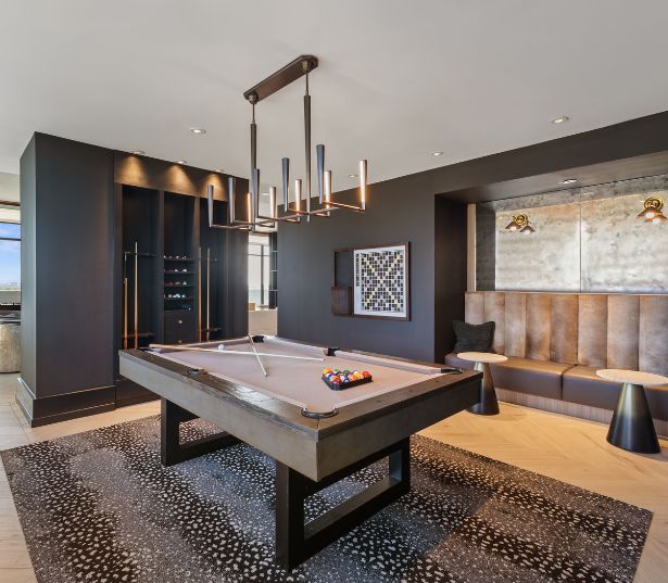 The Camille Apartments for Rent in Bethesda, MD - Sky Lounge