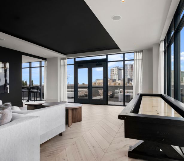 The Camille Apartments for Rent in Bethesda, MD - Sky Lounge