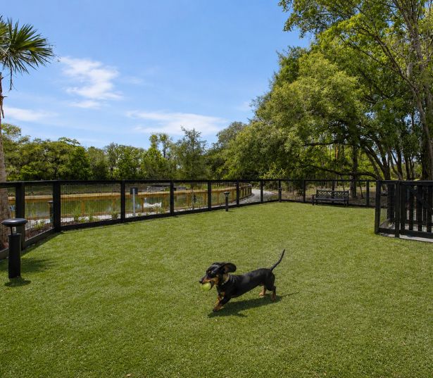The Henslow Daniel Island - Dog Park - Daniel Island Apartments
