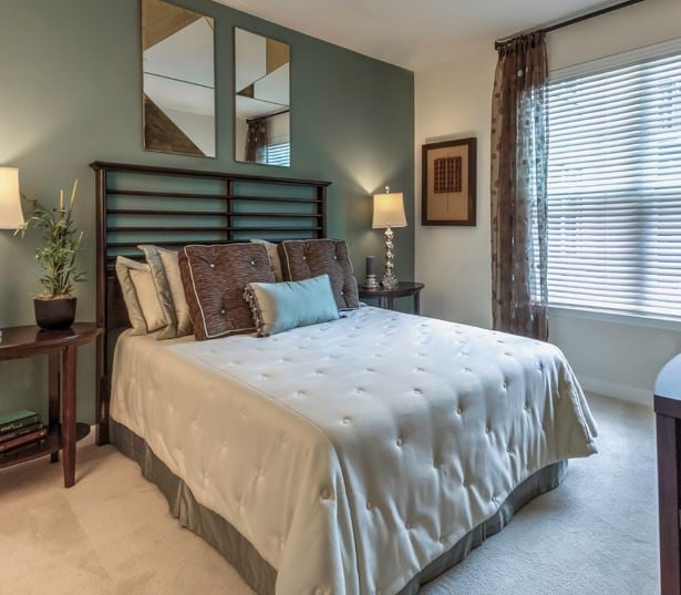 Vienna apartments near Capital One - The Reserve at Tysons Corner Plush carpeting
