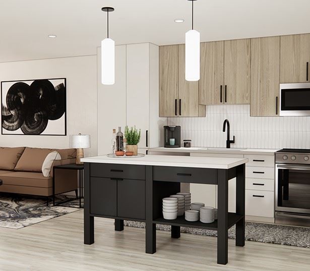 Gallery Downtown Bethesda Apartments The Camille Apartments