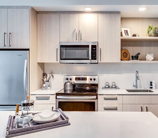 Velo Forest Hills Apartments - Jamaica Plain apartments in Boston - kitchen