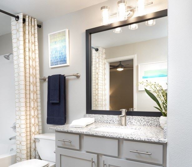 Upgraded Ballantyne apartments Charlotte NC - Promenade Park - bathroom