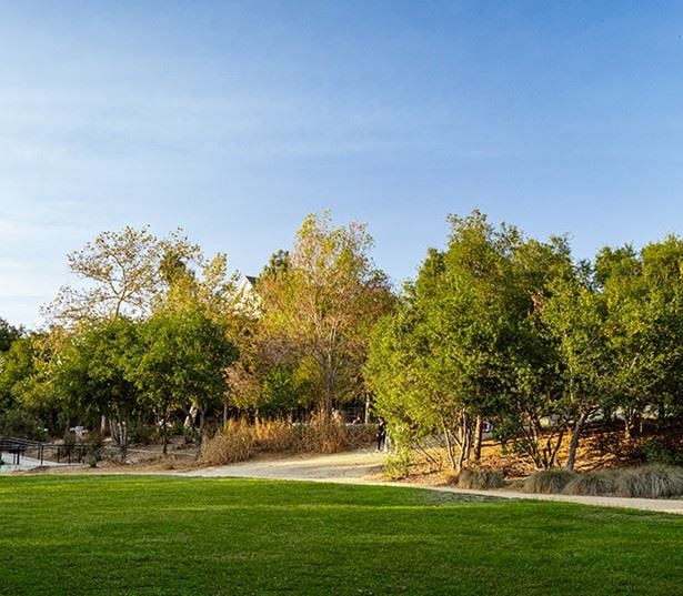 Pet Friendly Apartments in LA - The Lofts at the Security Building - Vista Hermosa