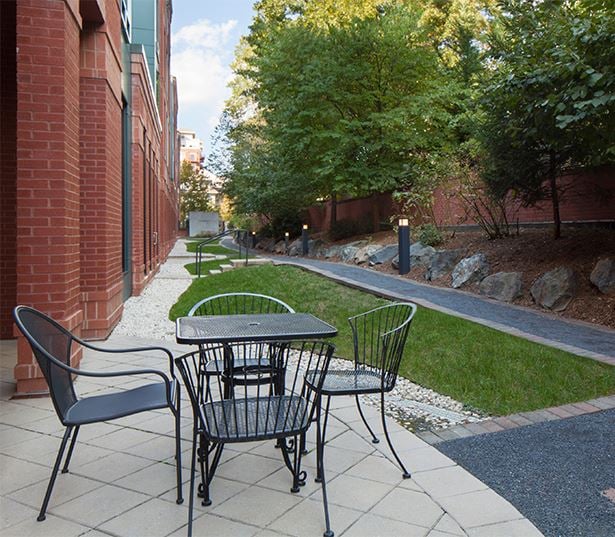 Zoso Flats - dog walk - Apartments for rent in Arlington VA