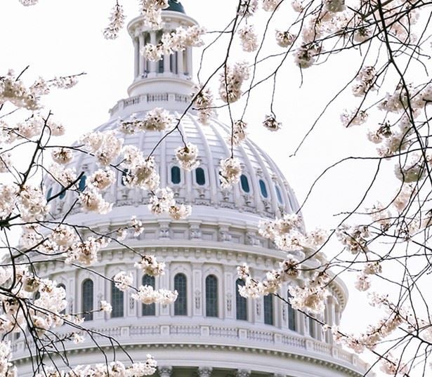 Apartments for Rent in Clarendon Arlington - Zoso Flats - Capitol Building
