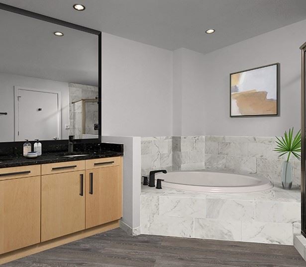 Zoso Flats - Spacious bathroom - Apartments for rent in Arlington VA