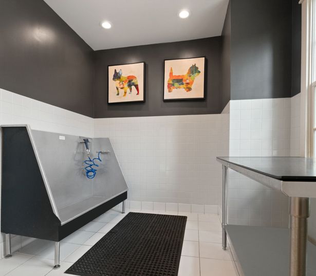 Adams Creek apartments near Mall of Georgia - Artisan Station Apartments pet spa