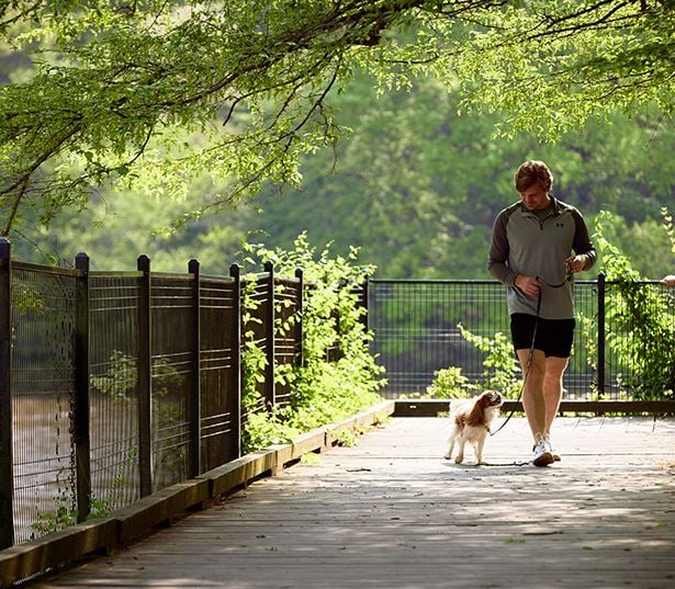 Auden Apartments | Vinings Apartments near trails | Atlanta, GA