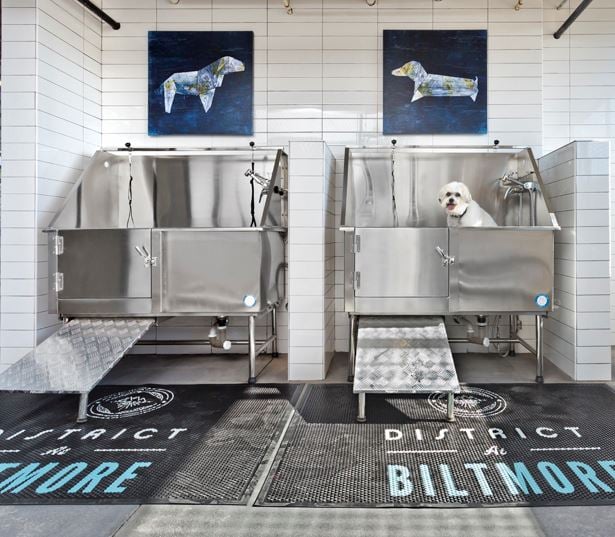 Apartments for rent in Phoenix - District at Biltmore dog wash