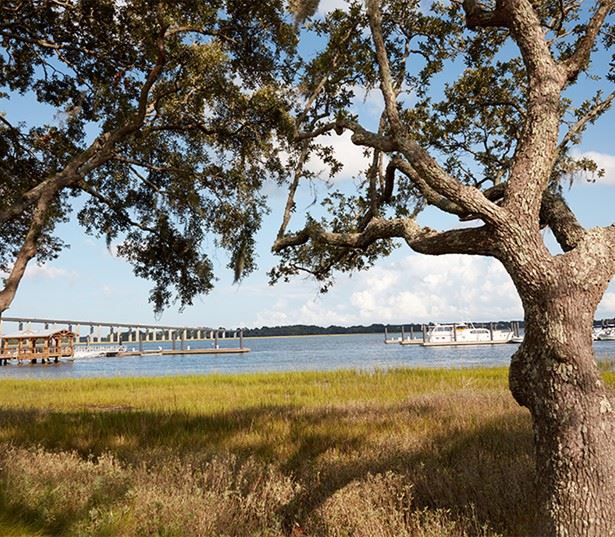 The Henslow Daniel Island - porthouse and water - Mount Pleasant Apartments