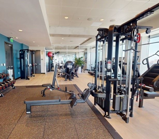 Houston Apartments - SkyHouse River Oaks - fitness center