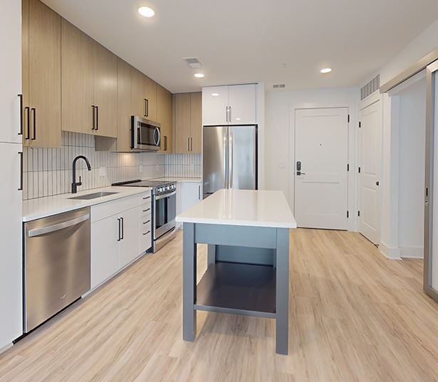 Brand New Apartments in Bethesda - The Camille - 11S1B Virtual Tour