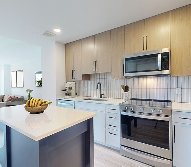 1 Bedroom Apartments in Bethesda - The Camille - 22F1A Floor Plan Virtual Tour