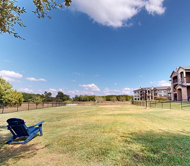 Austin, TX Apartments for Rent - Ridgeview - Dog Park