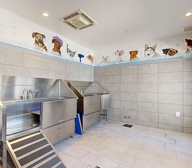 1 bedroom apartments in Dallas - Larq Henderson Apartments - Dog Wash Virtual Tour