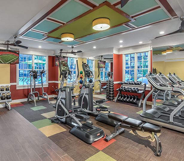 Gwinnett County Public Schools Apartments - Artisan Station Fitness Center virtual tour