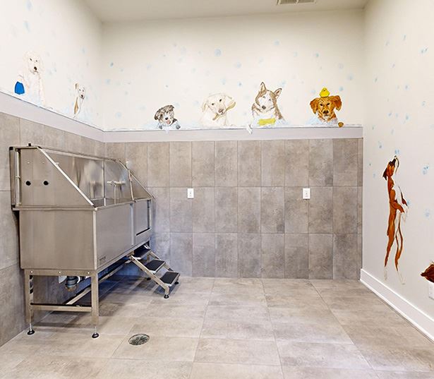 Austin, TX Apartments for Rent - Ridgeview - Paw Spa Pet Spa