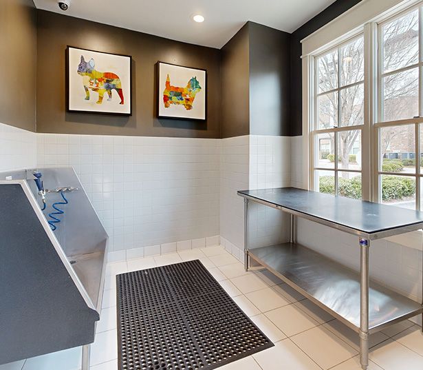 Adams Creek apartments - Artisan Station Apartments pet spa virtual tour