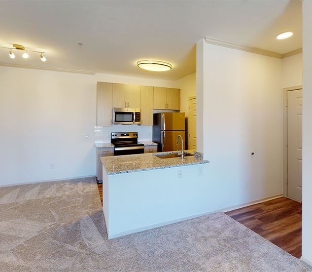 Kierland apartments for rent in North Scottsdale - San Carlos Ruby Virtual Tour