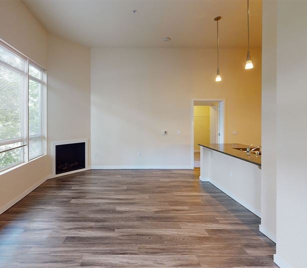 Downtown Bellevue Apartments - Metro 112 - Summit VIII  (1302 Sq Ft)