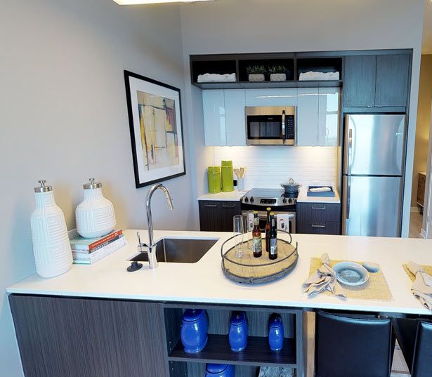 1 Bedroom Apartments in Reston, VA - Signature Apartments at Reston Town Center