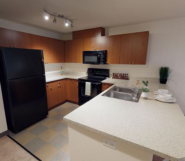South Lake Union Apartments for Rent - Neptune - 