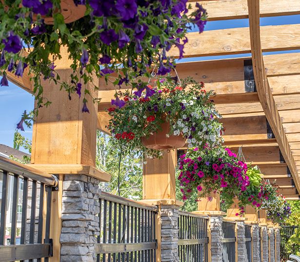 Tanasbourne Affordable Apartments - Quatama Crossing - community video