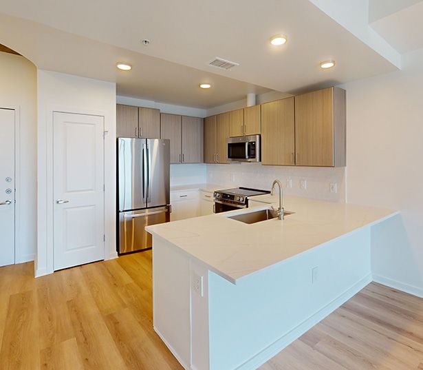 Pet Friendly Apartments in Austin - SkyHouse Austin - Upgraded Vista I Floor Plan Virtual Tour