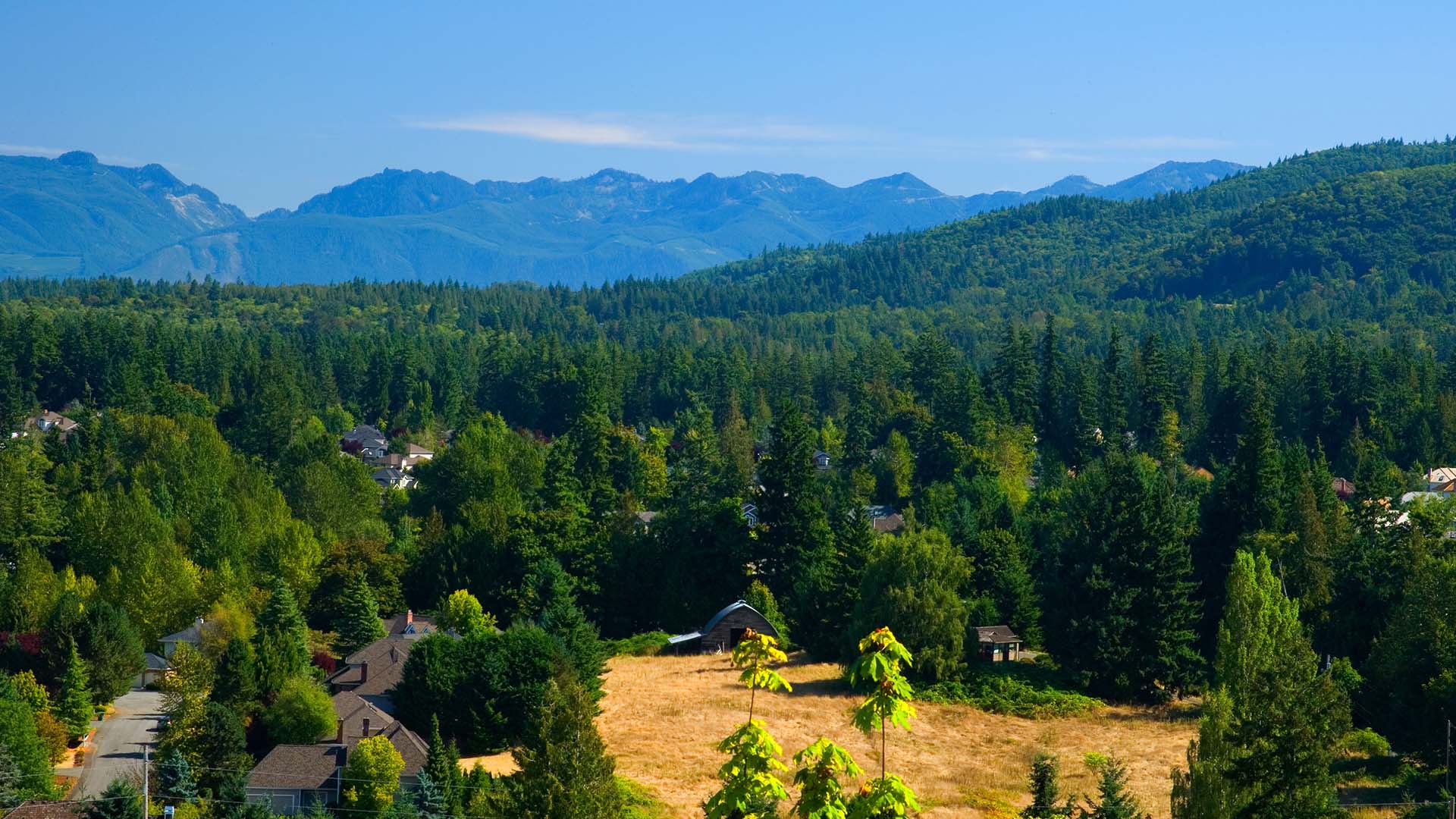 Apartments for Rent in Sammamish, WA Boulder Creek