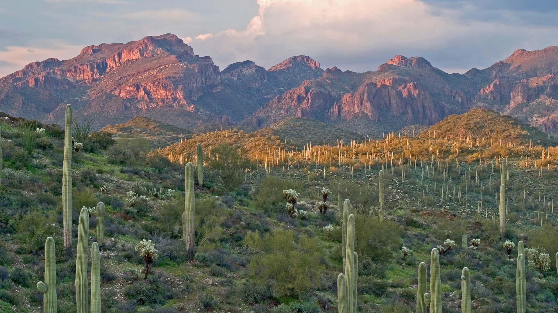 North Scottsdale, AZ Apartments San Carlos Apartments Scottsdale