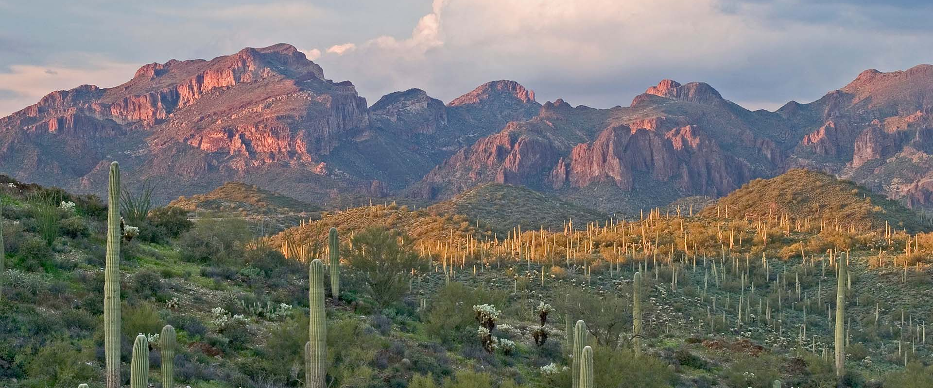 San Carlos Apartments in Kierland, Arizona - McDowell Mountain